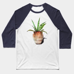 AMERICANA AGAVE in pot Baseball T-Shirt